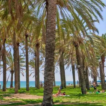 Sunrise Sea Beachfront